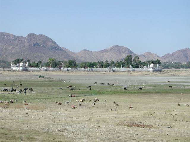 nehru garden udaipur