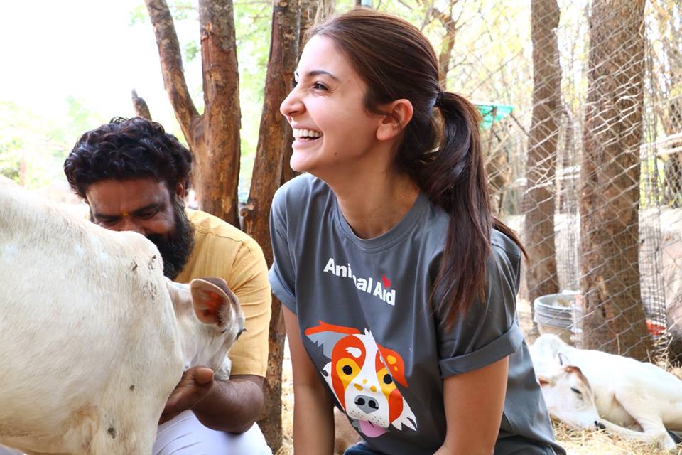 Anushka Sharma traveled all the way to Udaipur only to spend time with  Rescued Animals - Udaipur Beats